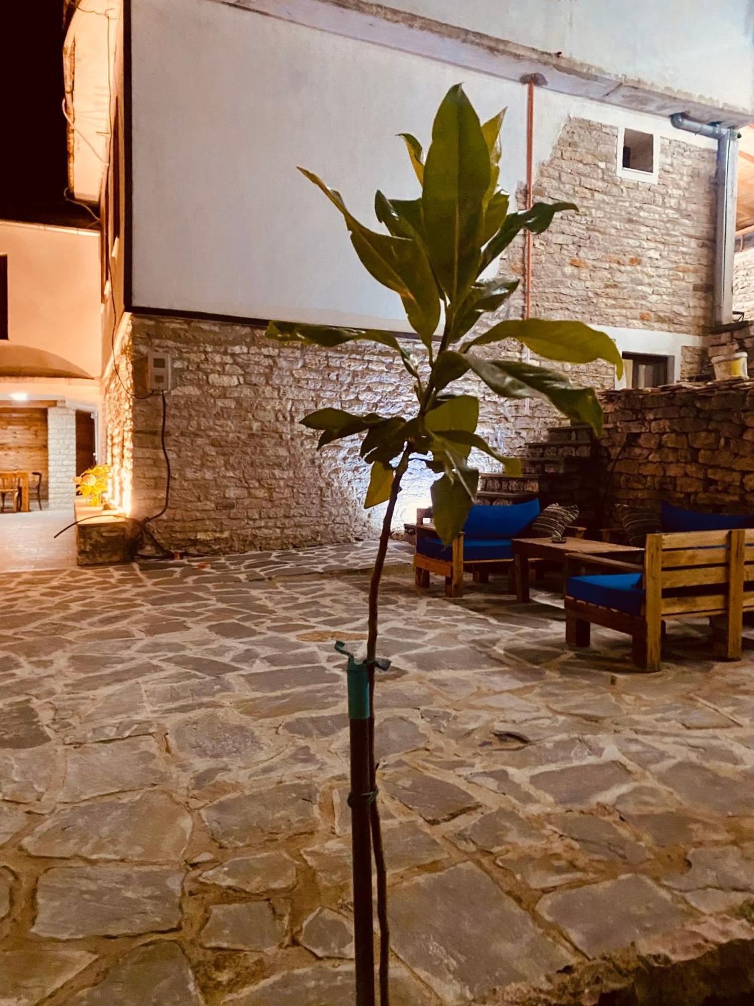 Vila Eri Gjirokaster Luaran gambar
